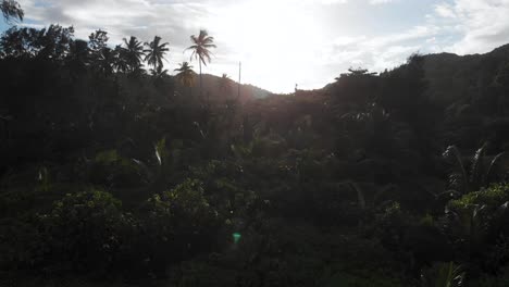 Vista-Aérea-De-La-Selva-En-Anse-Coco,-Petit-Anse-Y-Grand-Anse-En-La-Digue,-Una-Isla-De-Las-Seychelles