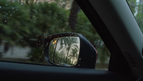 rainy day drive: palm trees reflected in car mirror