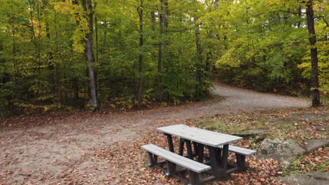 wooden bench and table in a remote forest