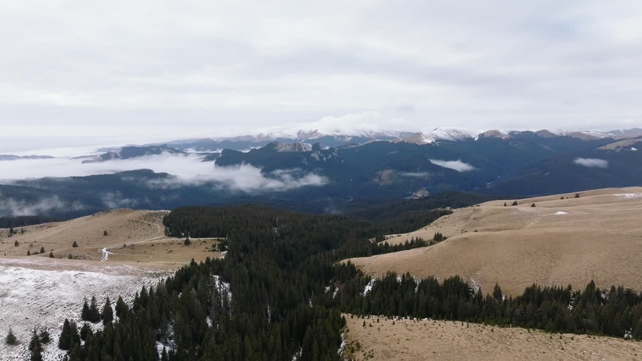 disparo hacia atrás desde el bosque invernal en las montañas de bucegi, rumania