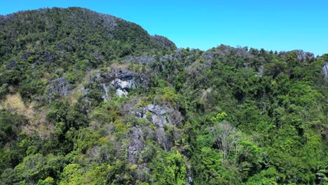 Primeval-jungle-hills-island-phi-phi-island