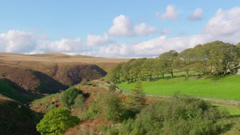 typical rural yorkshire landscape