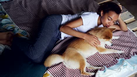 sweet mixed race girl is stroking purebred shiba inu dog lying on bed while animal is enjoying love and tenderness. loving animals, kind people and relaxation concept.