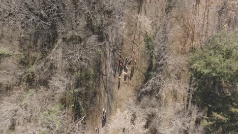 Rotierende-Drohnenaufnahme-Von-Menschen-In-Einem-Wald,-Die-Bäume-Vom-Boden-Bewegen