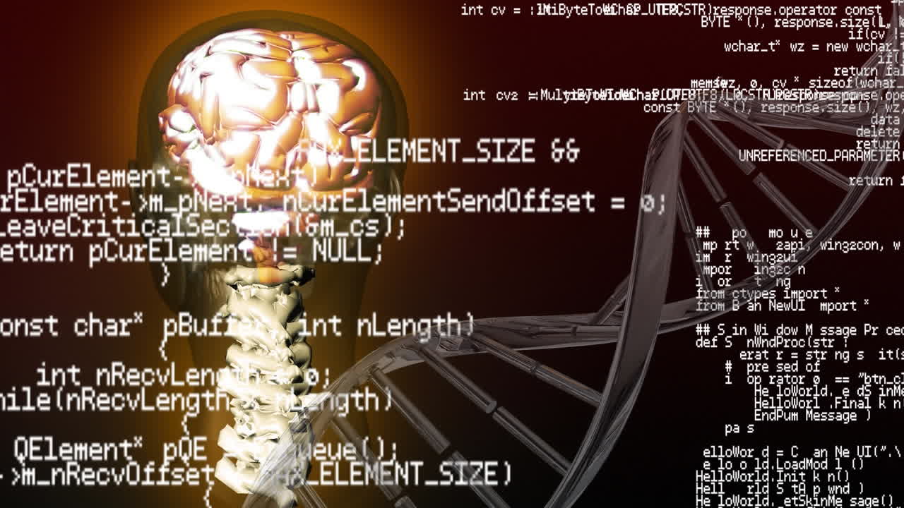 인간 해부학 및 인터페이스 코드