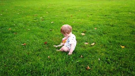 Stetiger-Schuss-Eines-Glücklichen-Kleinen-Jungen,-Der-Allein-Im-Park-Sitzt-Und-Mit-Blatt-Spielt