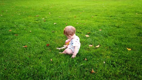 steady shot of happy toddler boy sitting alone in park playing with leaf
