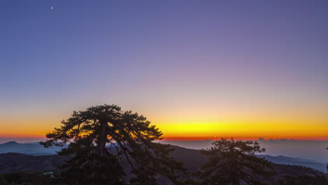 a time lapse shot of a colourful sunset scene on a misty landscape with tr