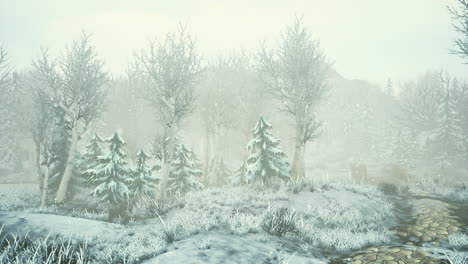 winter-storm-in-a-forest-in-winter