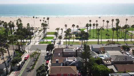 Los-Angeles-palm-tree-beach-waterfront-residential-property-rooftops-aerial-dolly-right-view