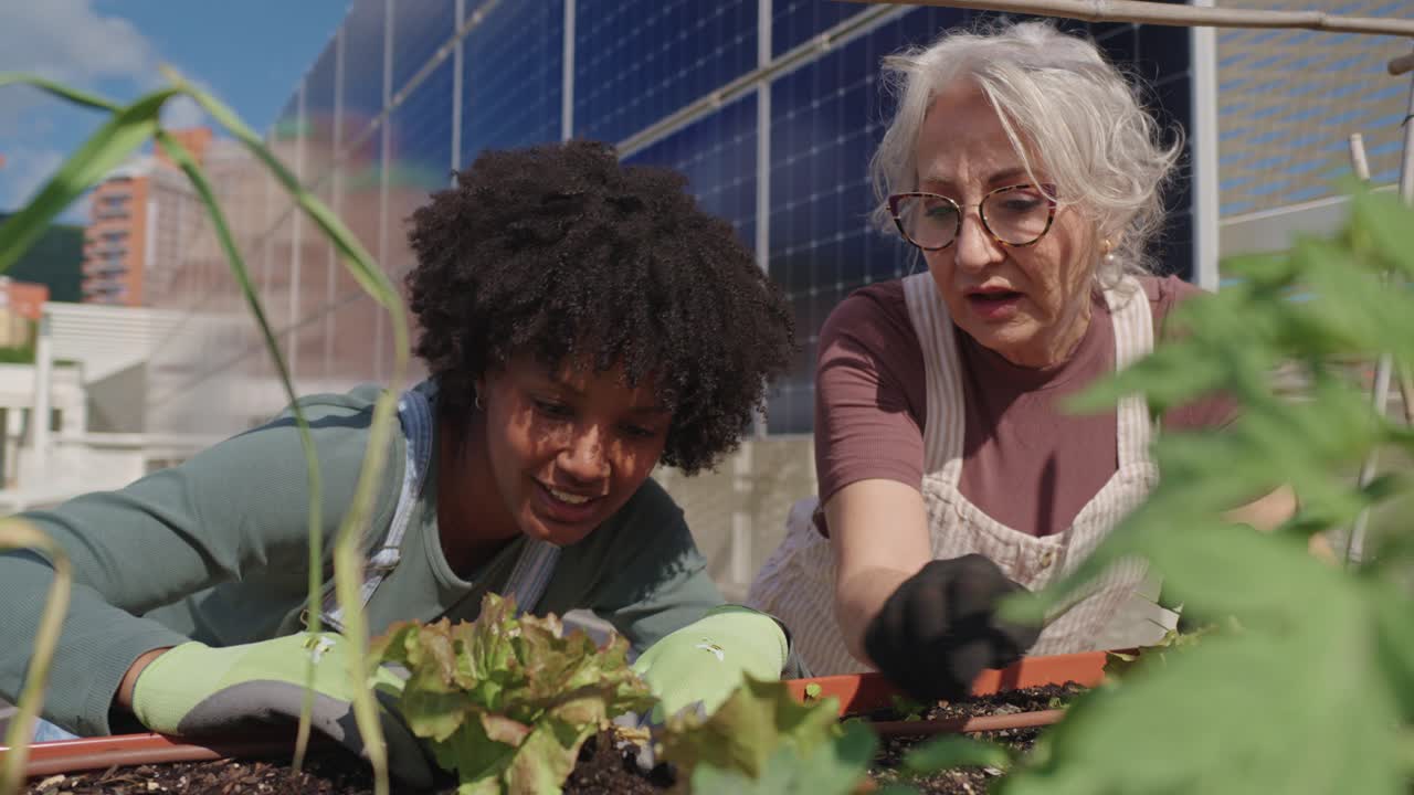 Women gardening on urban rooftop garden