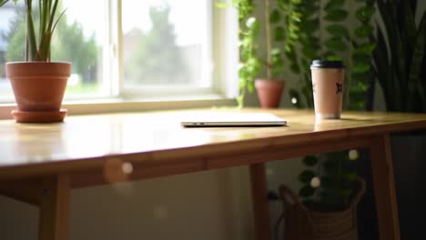 a tranquil workspace with natural elements: a well-designed desk adorned with green plants, a coffee cup, and a tablet, perfect for inspiration and productivity