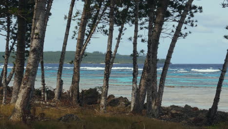 árboles-Ondeando-En-El-Viento,-Mientras-Las-Olas-Golpean-La-Costa-De-Las-Islas-De-Lealtad---Vista-Panorámica