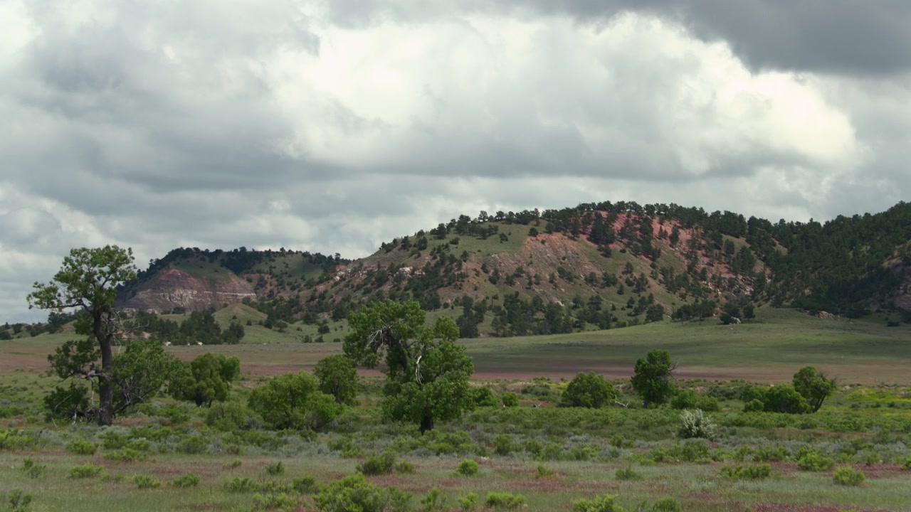 Nebraska, USA, vista panoramica di dolci colline verdi, alberi e un cielo coperto e drammatico.