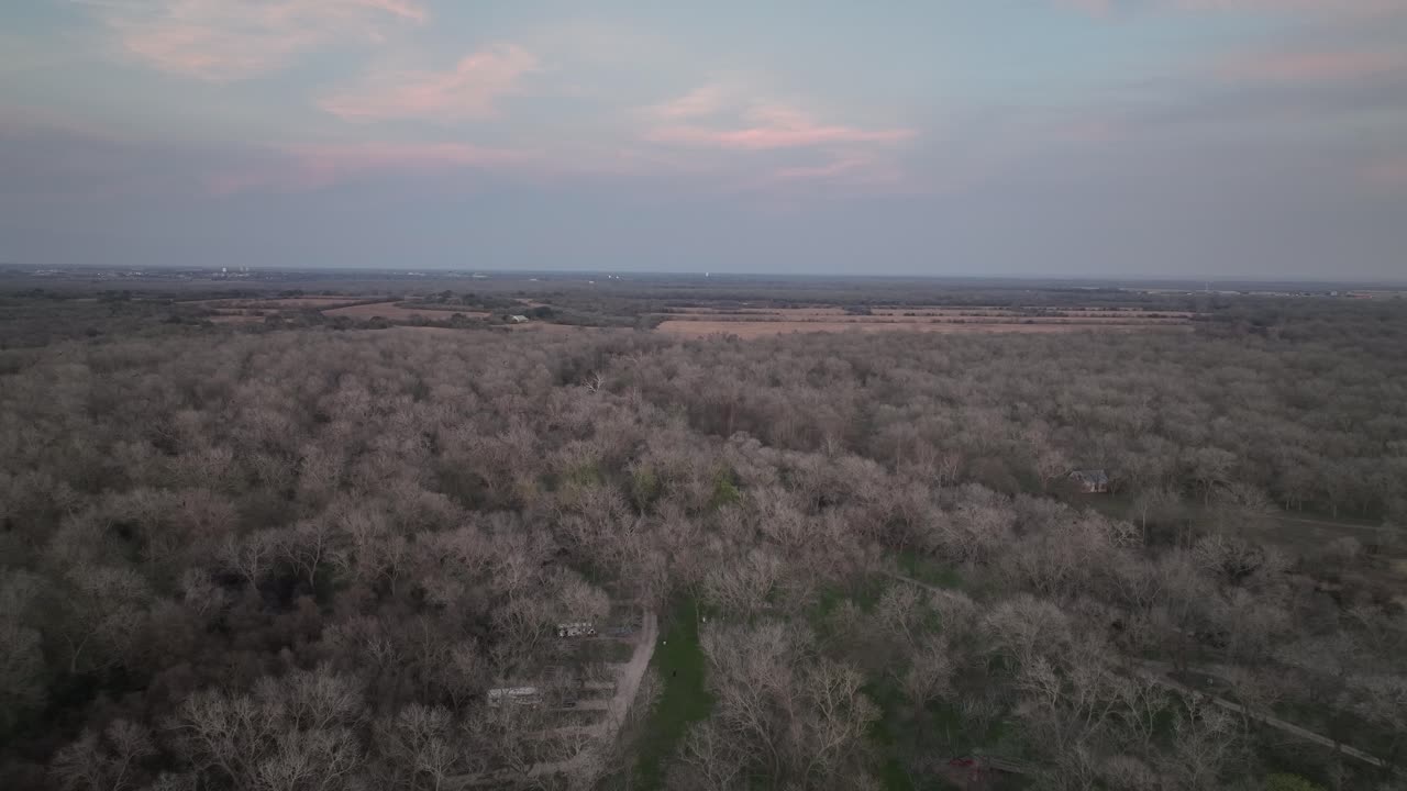 호수 나무에서 울창한 나무 꼭대기의 탁 트인 전망