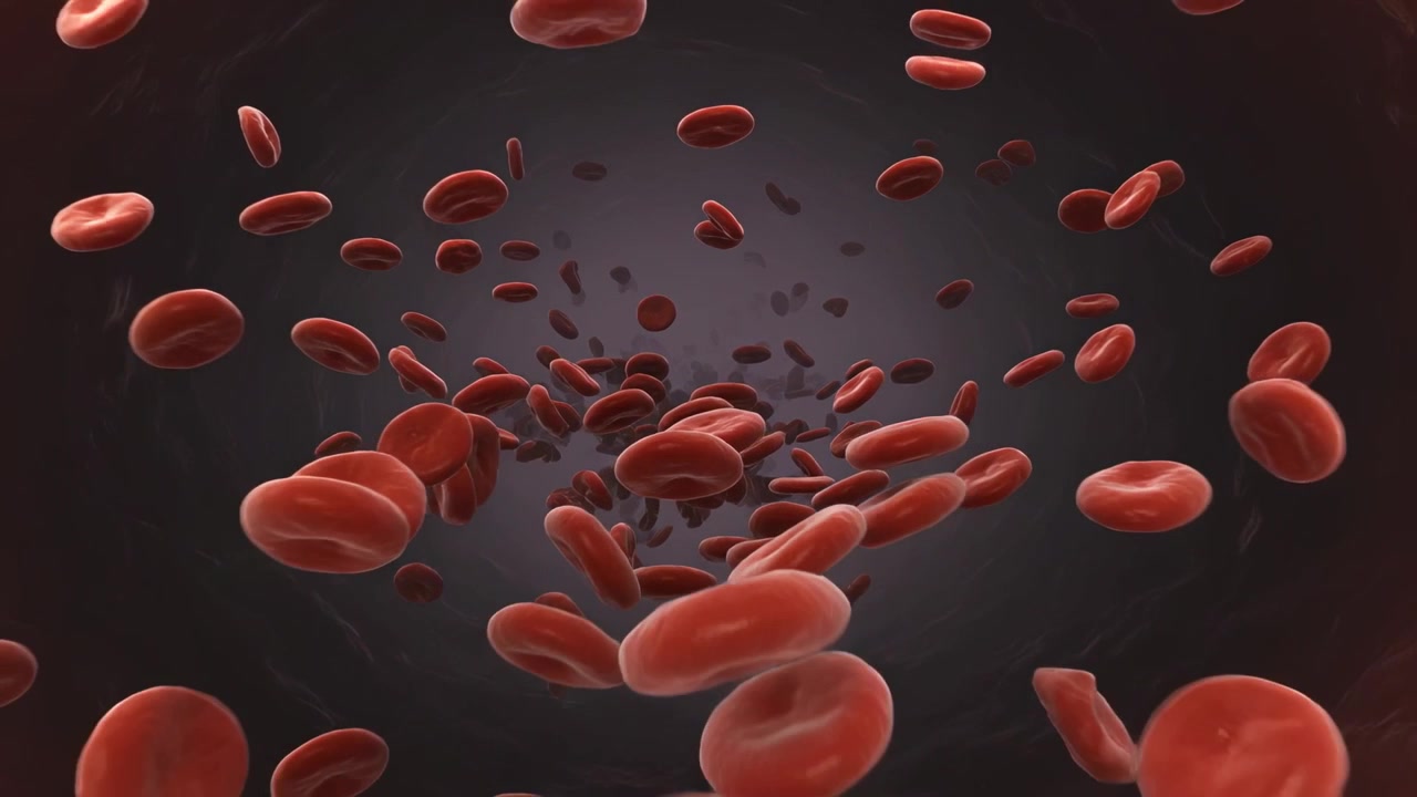 Streaming RBC cluster rotating through vessel with camera moving forward, flow carrying cells