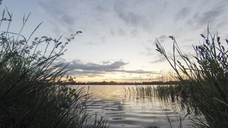 a beautiful timelapse capturing the sunset over a serene lake, framed by tall grasses on both sides, as the sky changes colors.