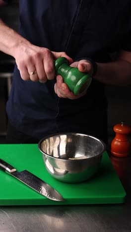 cocinero condimento de alimentos