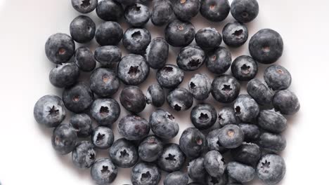 fresh blueberries