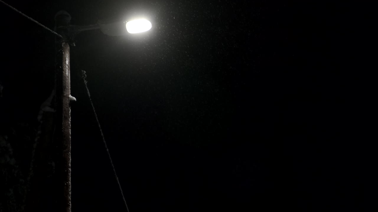 4K 60P Under A Street Lamp Light Post With Snow Falling Down, in the forest