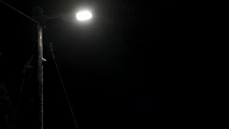 4k 60p under a street lamp light post with snow falling down, in the forest