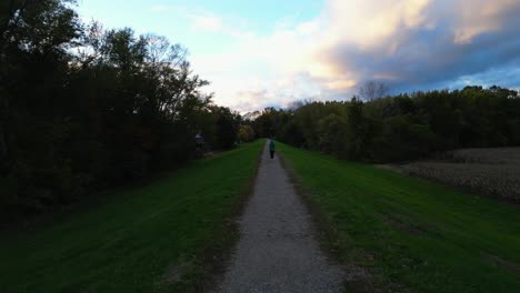 una mujer corre por un camino en el medio del bosque de la ciudad en una tarde de crepúsculo