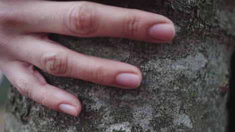 sintiendo la naturaleza flora árboles con manos suaves al tacto