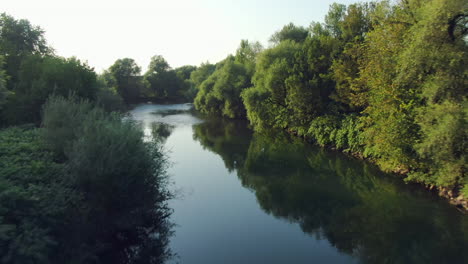 aerial drone footage following a river surrounded by beautiful green trees, slovenia