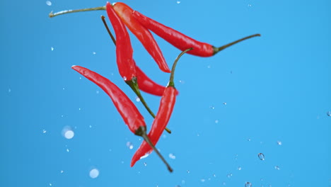 five small hot chili peppers flying in air after being launched from a frying pan with oil or water high quality cinematic studio commercial super slow motion 1000fps fresh peppers moving up and down