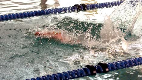 fit female swimmer diving into swimming pool