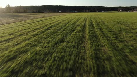 high-speed aerial reveal shot of green field and sunset.