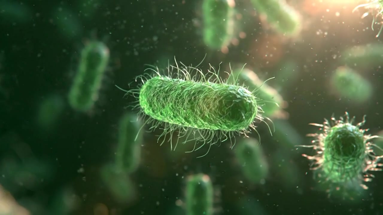 Bactéries vertes en forme de bâtonnet flottant dans un environnement microscopique sombre dans des séquences scientifiques détaillées