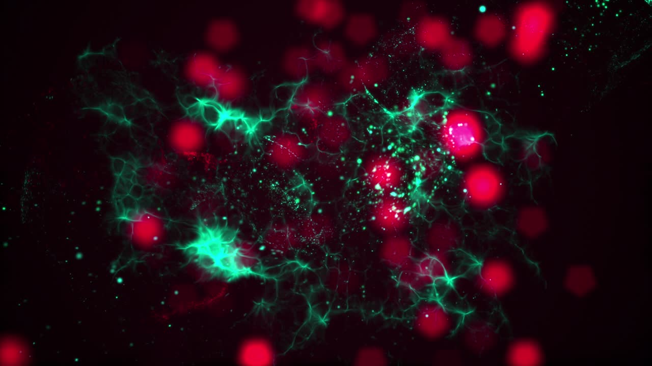 colores completos explosión de partículas en el video de stock pavo - país, explosión, partícula, círculo, brillante