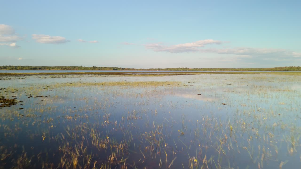 Ultra wide wetland floodplain layer with textured patches and soft horizon