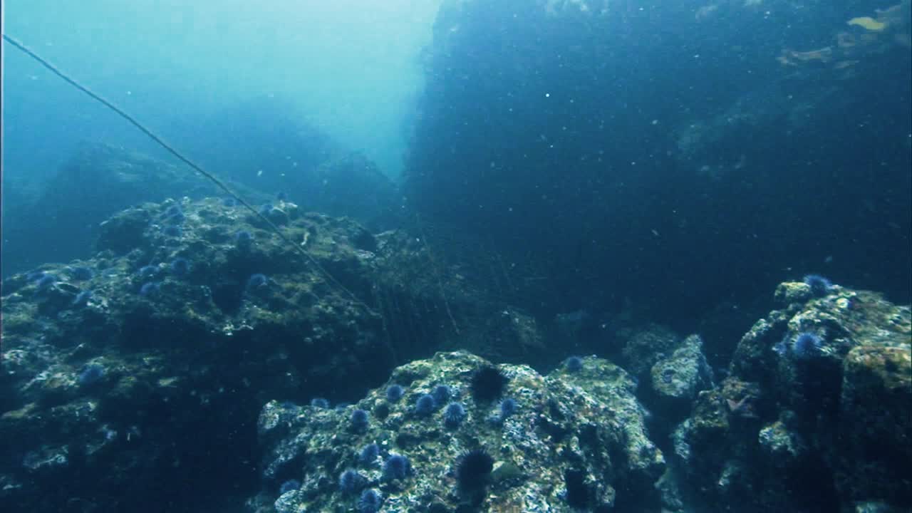 2019s trampas de langosta oxidadas abandonadas bajo el agua en los arrecifes de coral