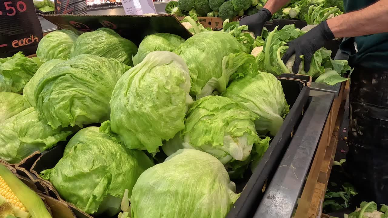 persona que organiza la lechuga en el puesto del mercado