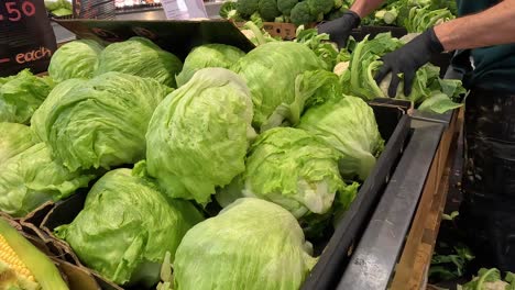 person arranging lettuce at market stall