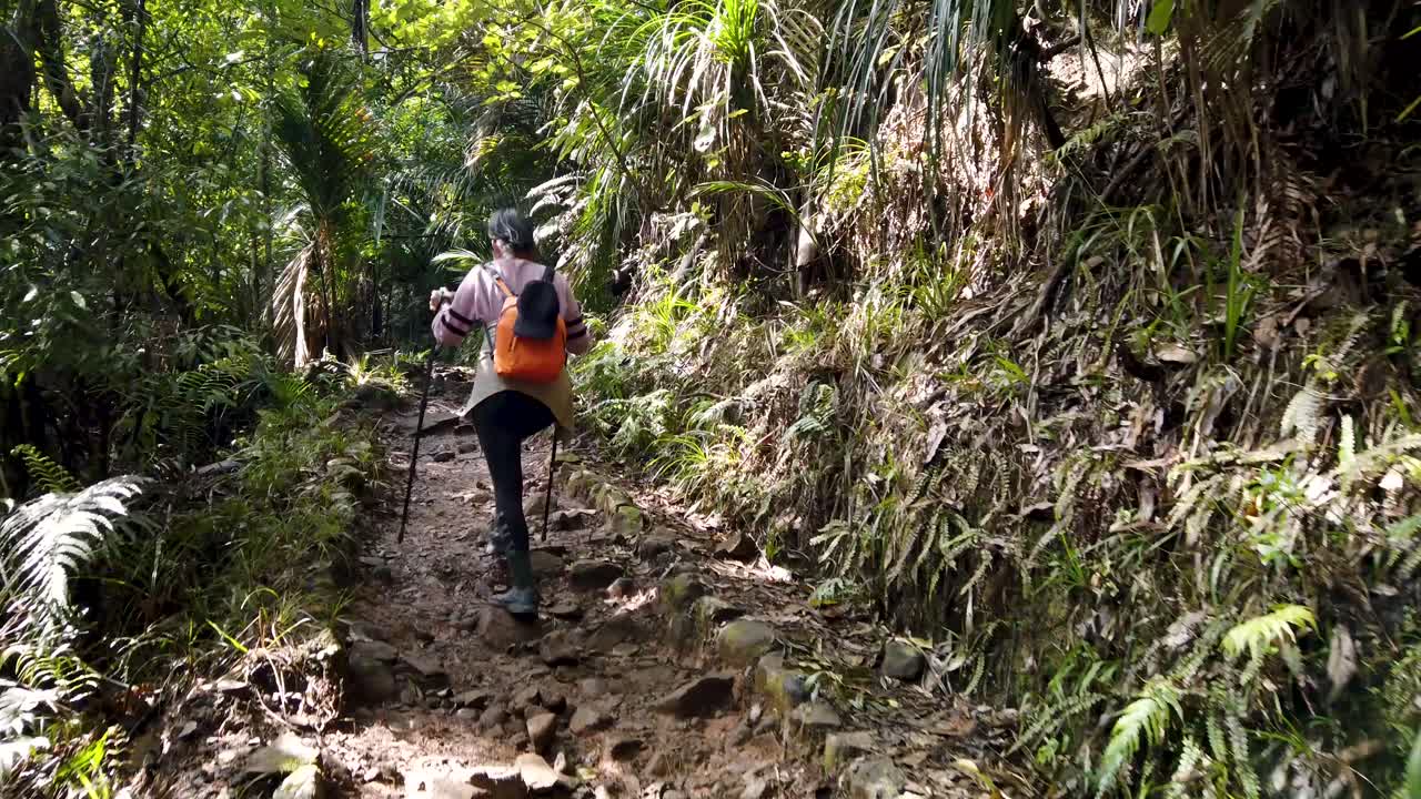 Viajera haciendo senderismo por un sendero rocoso en un bosque nativo de Nueva Zelanda