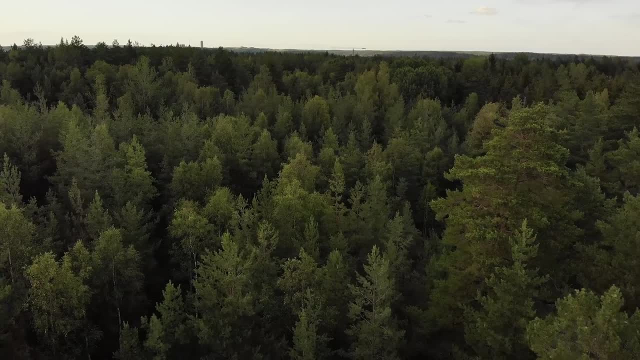 Il filmato video in stock di un drone su una foresta mostra una splendida vista aerea di rigogliose foreste verdi, catturata dall'alto usando una prospettiva fluida del drone. Questo filmato evidenzia la vastità, la texture e la natura