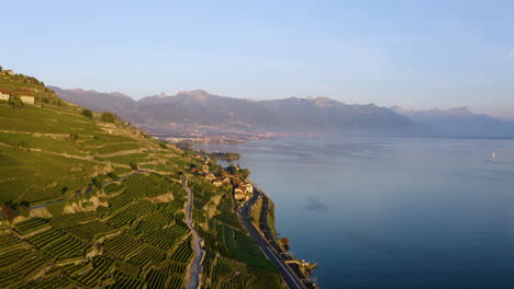 Verdant-Vineyards-Grows-On-Mountain-Hills-Near-Saint-Saphorin-Village-With-Panorama-Of-Lake-Geneva-In-Switzerland