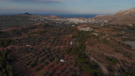 Antenne-Der-Olivenbaumplantage-Vor-Kleinem-Dorf-Mit-Meerblick,-Rhodos