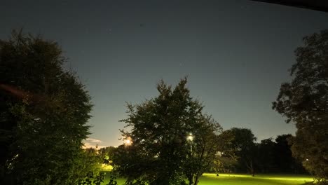 starry night over park