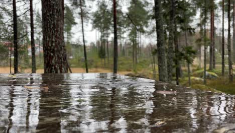 Una-Lluvia-Ligera-Cae-Sobre-Una-Mesa-Al-Aire-Libre-En-El-Bosque,-De-Cerca