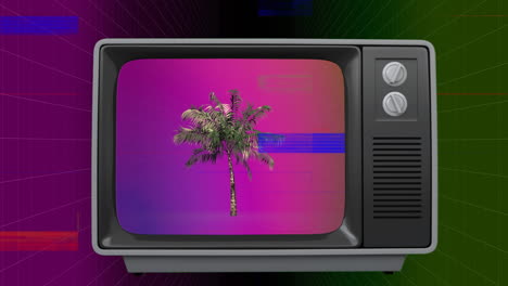 retro television with palm tree on screen with sizzle