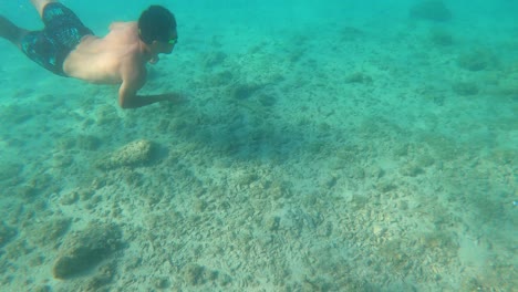 Explore-the-stunning-marine-life-of-Mljet,-Croatia-with-this-mesmerizing-underwater-snorkeling-footage-at-sunset