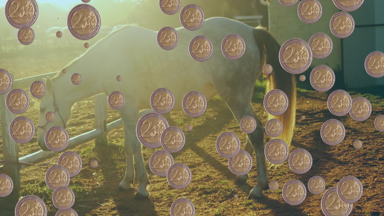 Animazione di monete sopra il cavallo
