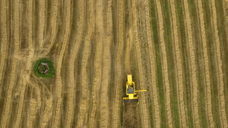 aerial shot of a yellow combine harvester making its way through a field, with clear patterns of harvested lines visible - top down