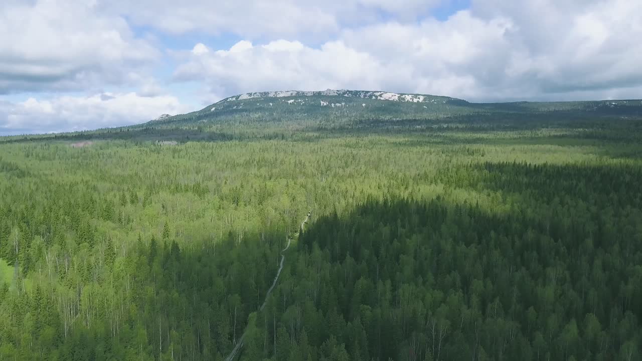 Aerial View of a Mountainous Forest