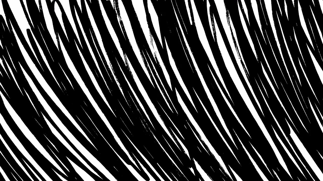 Animated Hand Drawn Black Scribble Lines Transition
