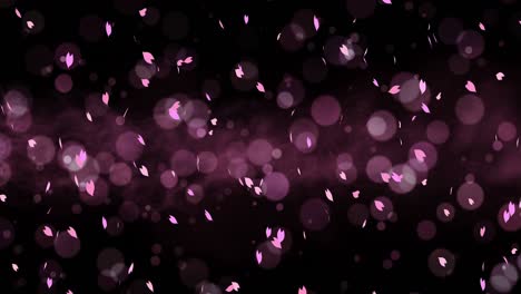 coloridos pétalos brillantes balanceándose en el fondo de la primavera con llamaradas solares. hermosa escena de la naturaleza. ilustración pétalos de cereza en flor. gráfico abstracto de primavera. animación de bucle.